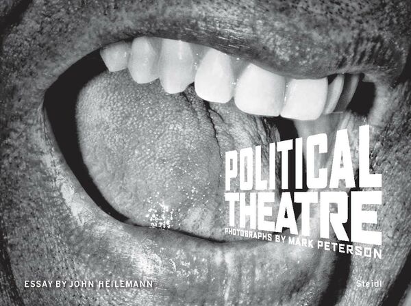Mark Peterson – Political Theatre