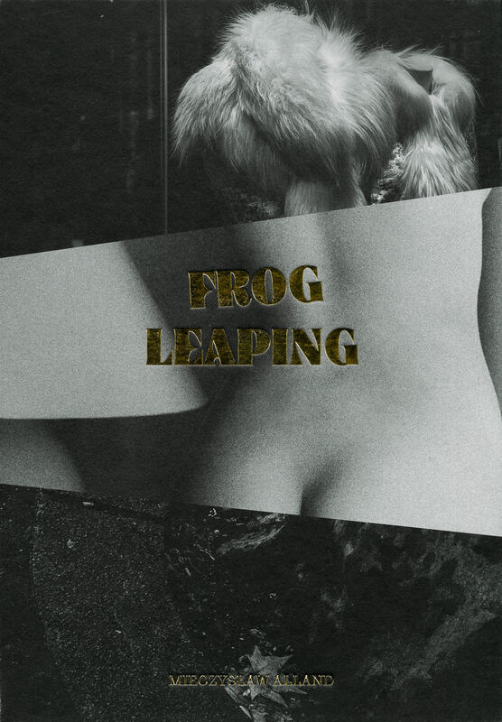 Mitch Alland – Frog Leaping
