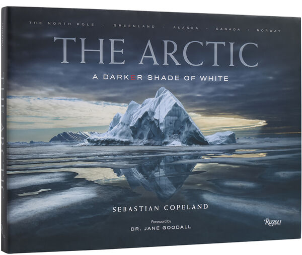 The Arctic: A Darker Shade of White